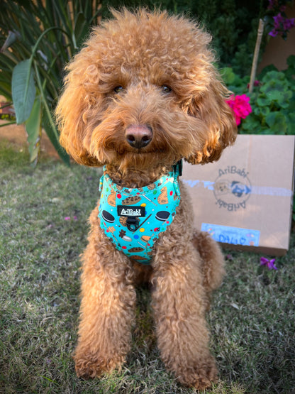 Perro caniche con arnés ajustable marca AriBabi color azul con estampado de galletas