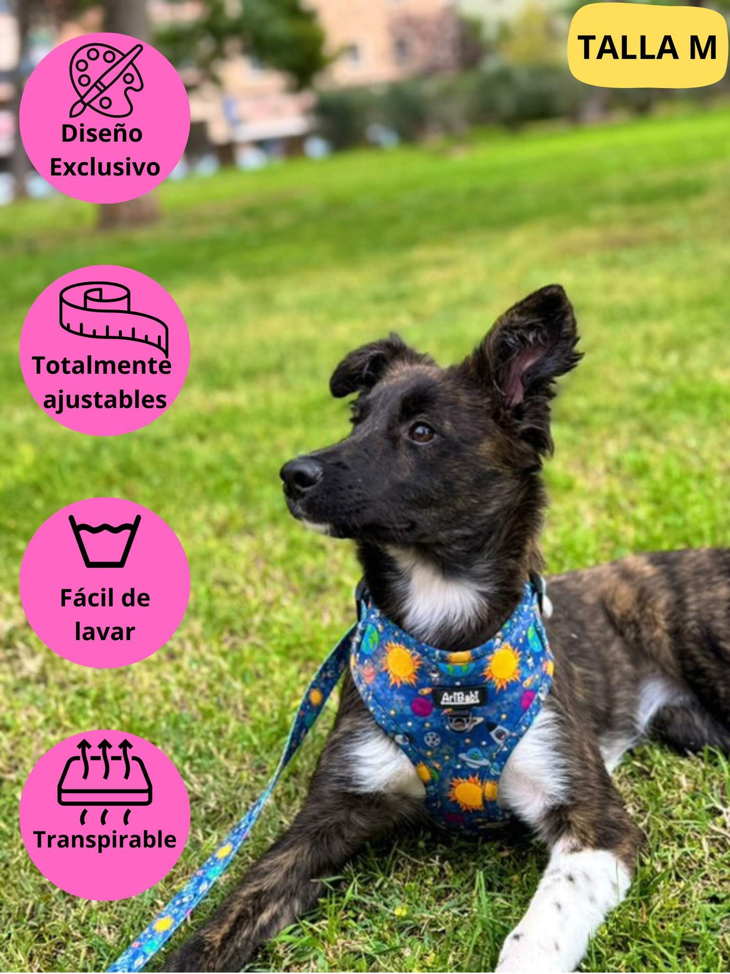 Conjunto de arnés ajustable azul con correa a juego con dibujos de planetas de la colección Laika colocado en perro grande. 