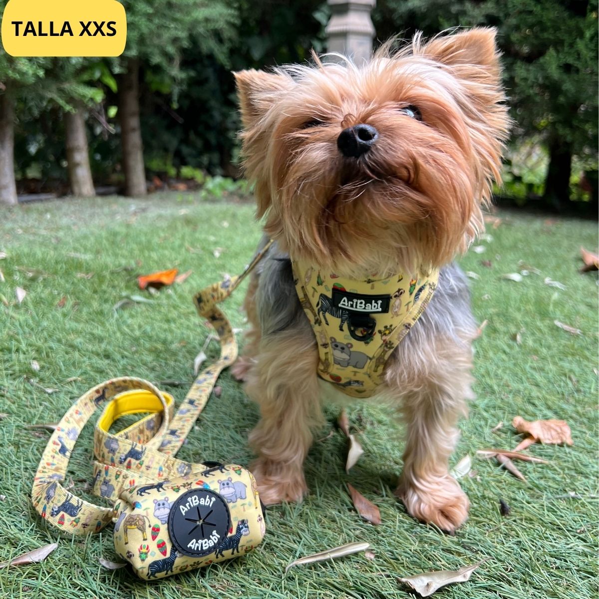 Conjunto de arnés ajustable amarillo con correa y portabolsas a juego con dibujos de animales de la colección Kenia colocado en yorkshire.