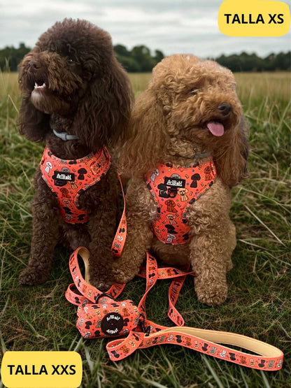 Conjunto de arnés ajustable coral con correa y portabolsas a juego con dibujos  de caniches de la colección Caniche colocado en perros caniches.