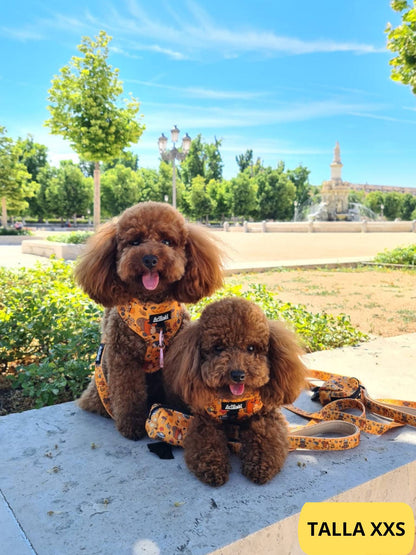 Conjunto de arnés ajustable naranja con correa y portabolsas a juego con dibujos de animales de la colección Yosemite colocado en caniche.