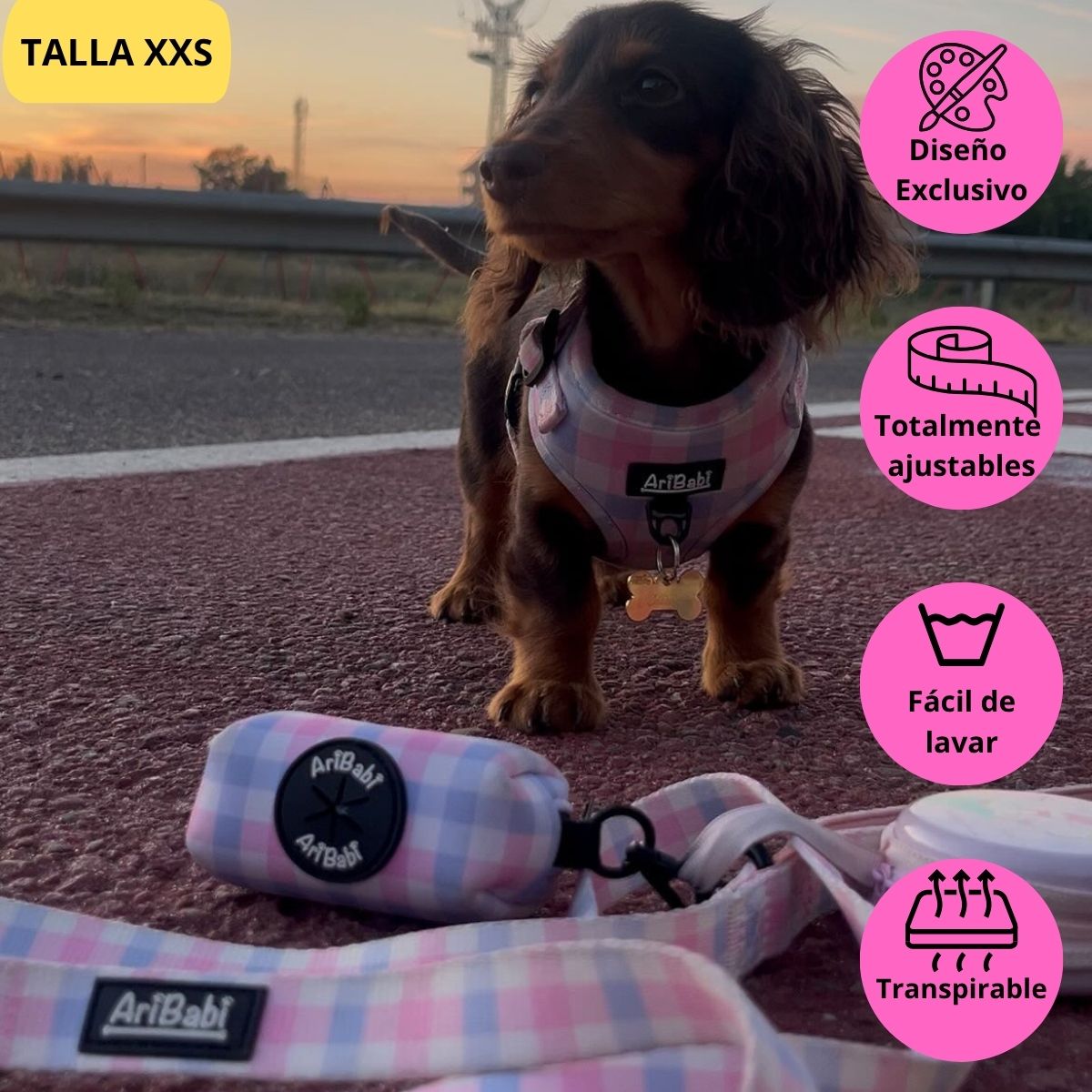 Conjunto de arnés ajustable rosa con correa y portabolsas a juego con dibujos de cuadros de la colección Vichy colocado en perro pequeño teckel.