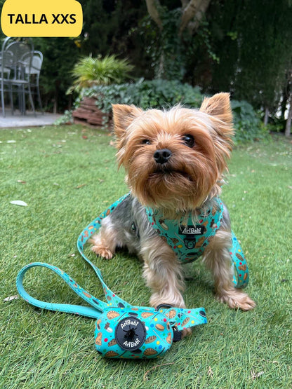 Conjunto de arnés ajustable verde con correa y portabolsas a juego con dibujos de galletas de la colección Cookies colocado en perro pequeño yorkshire.