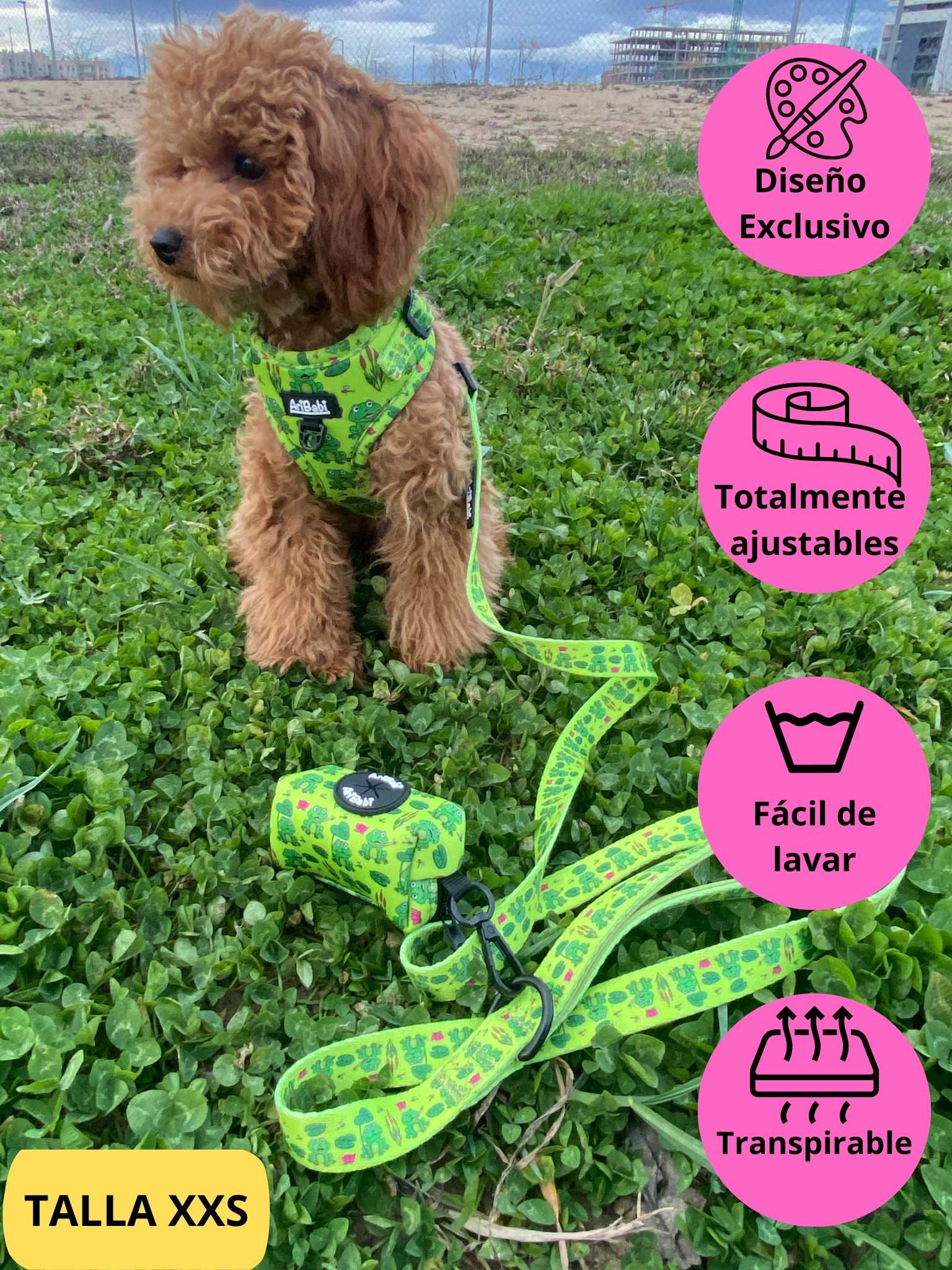 Conjunto de arnés ajustable con correa y portabolsas verde con dibujos de ranas de la colección Amazonas colocado en perro caniche.