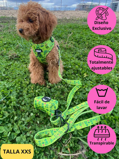 Conjunto de arnés ajustable con correa y portabolsas verde con dibujos de ranas de la colección Amazonas colocado en perro caniche.
