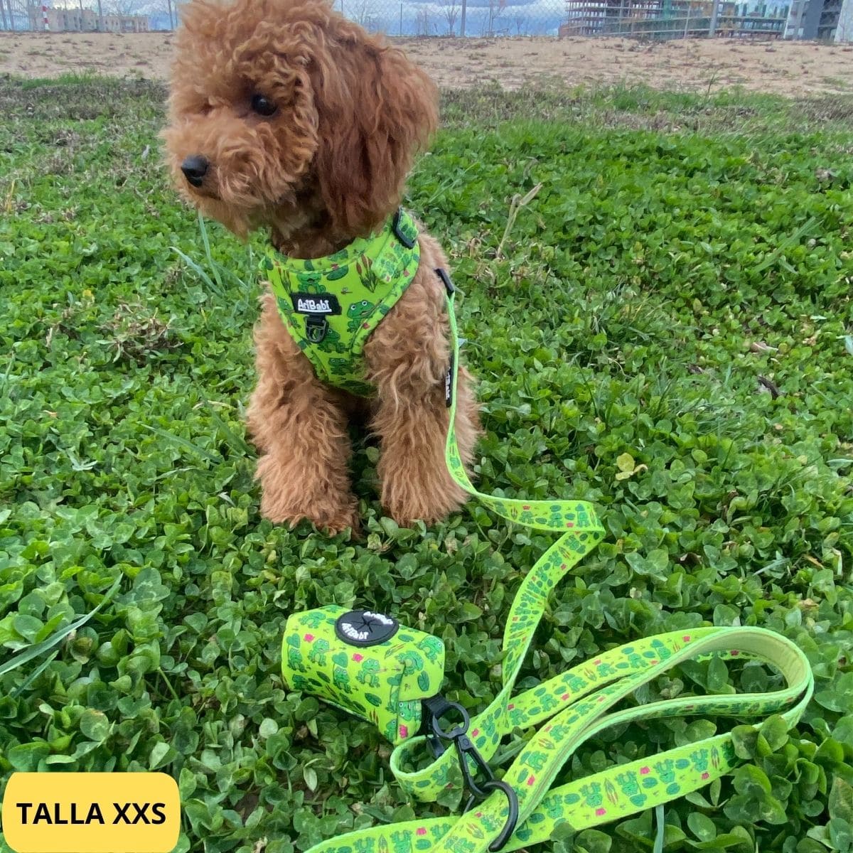 Conjunto de arnés ajustable con correa y portabolsas verde con dibujos de ranas de la colección Amazonas colocado en perro.