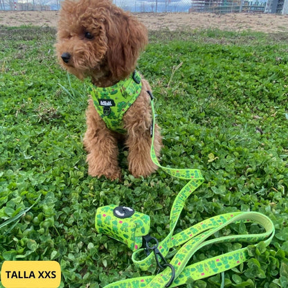 Conjunto de arnés ajustable con correa y portabolsas verde con dibujos de ranas de la colección Amazonas colocado en perro.