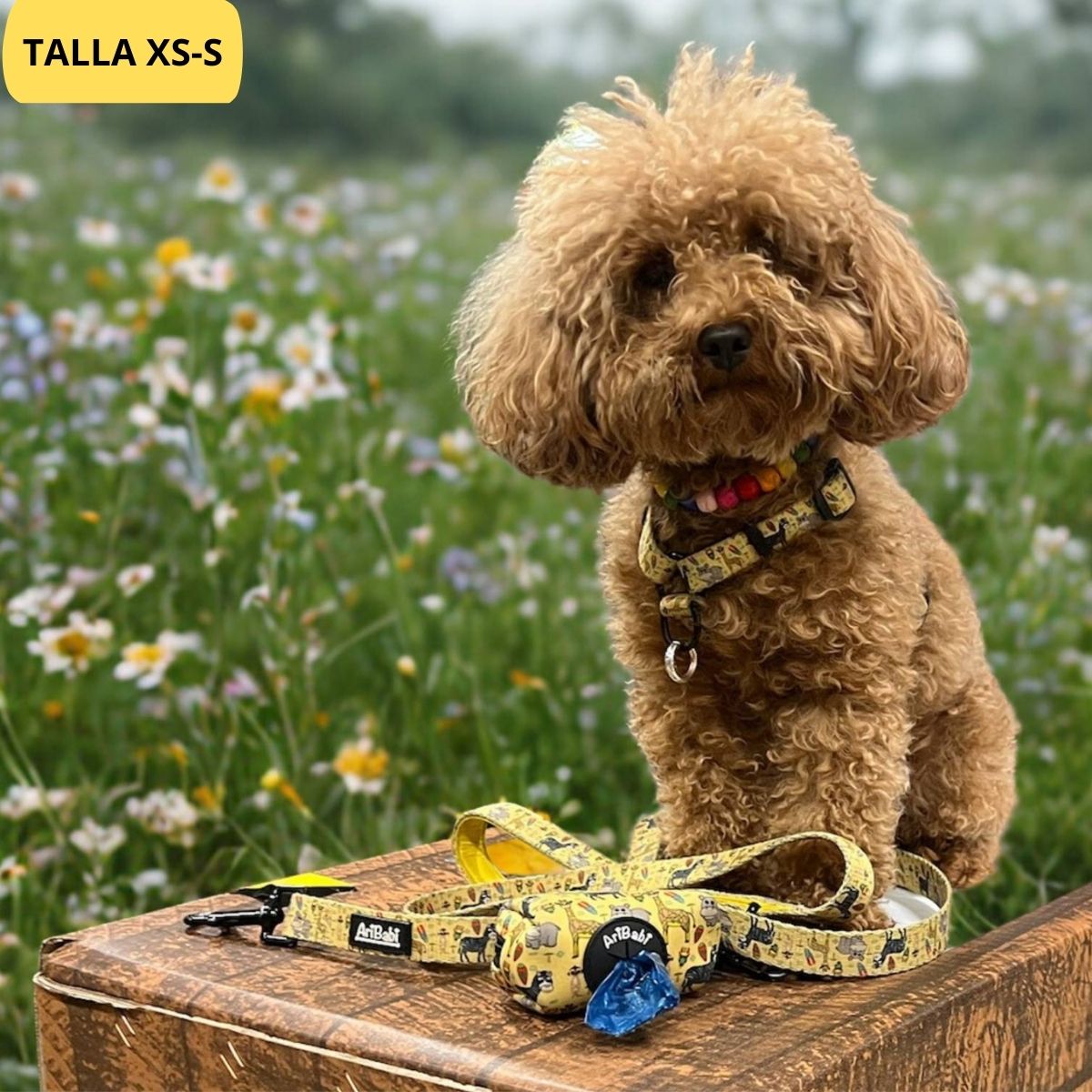 Conjunto de arnés clásico ajustable amarillo con correa y portabolsas a juego con dibujos de animales de la colección Kenia colocado en caniche.
