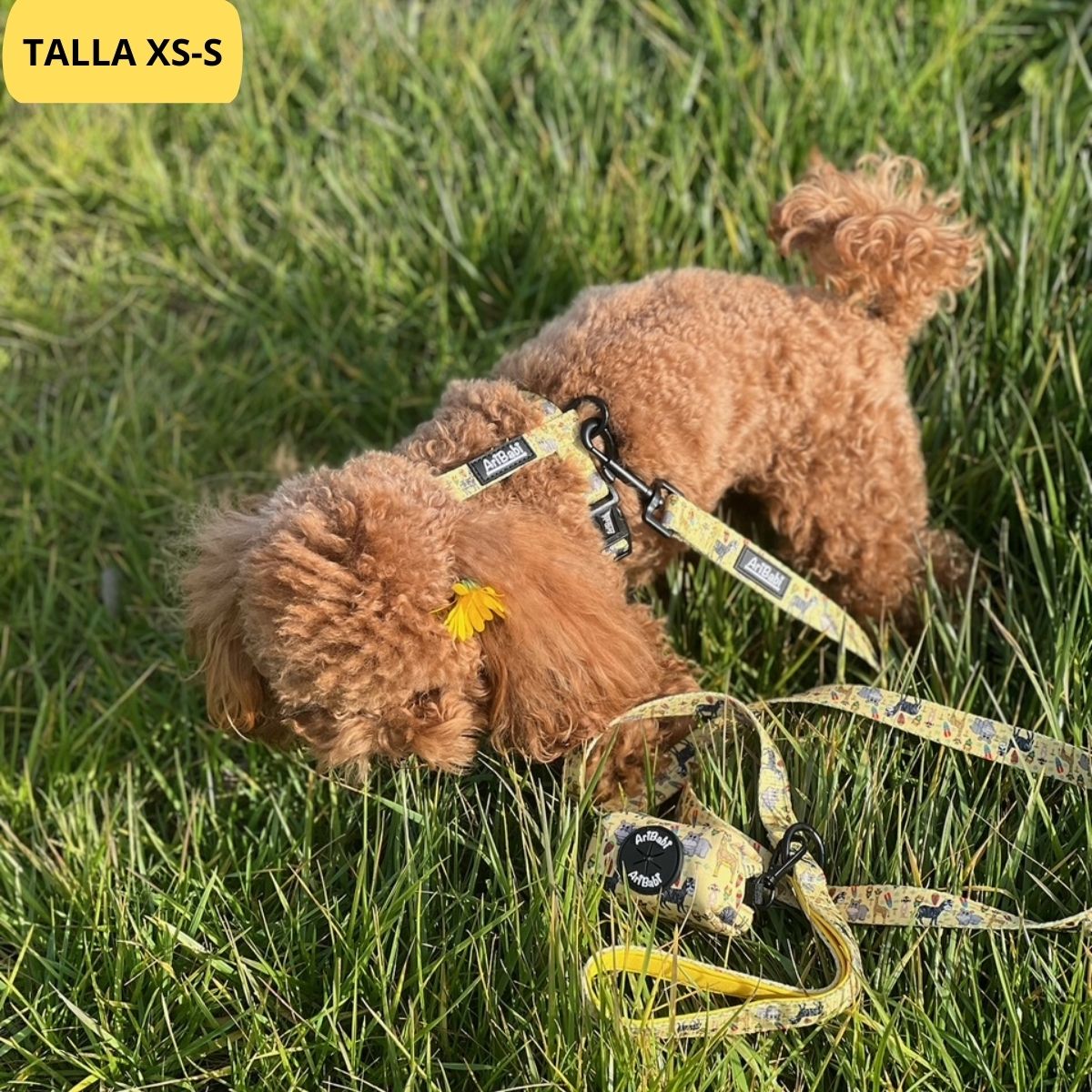 Conjunto de arnés clásico ajustable amarillo con correa y portabolsas a juego con dibujos de animales de la colección Kenia colocado en perro pequeño.