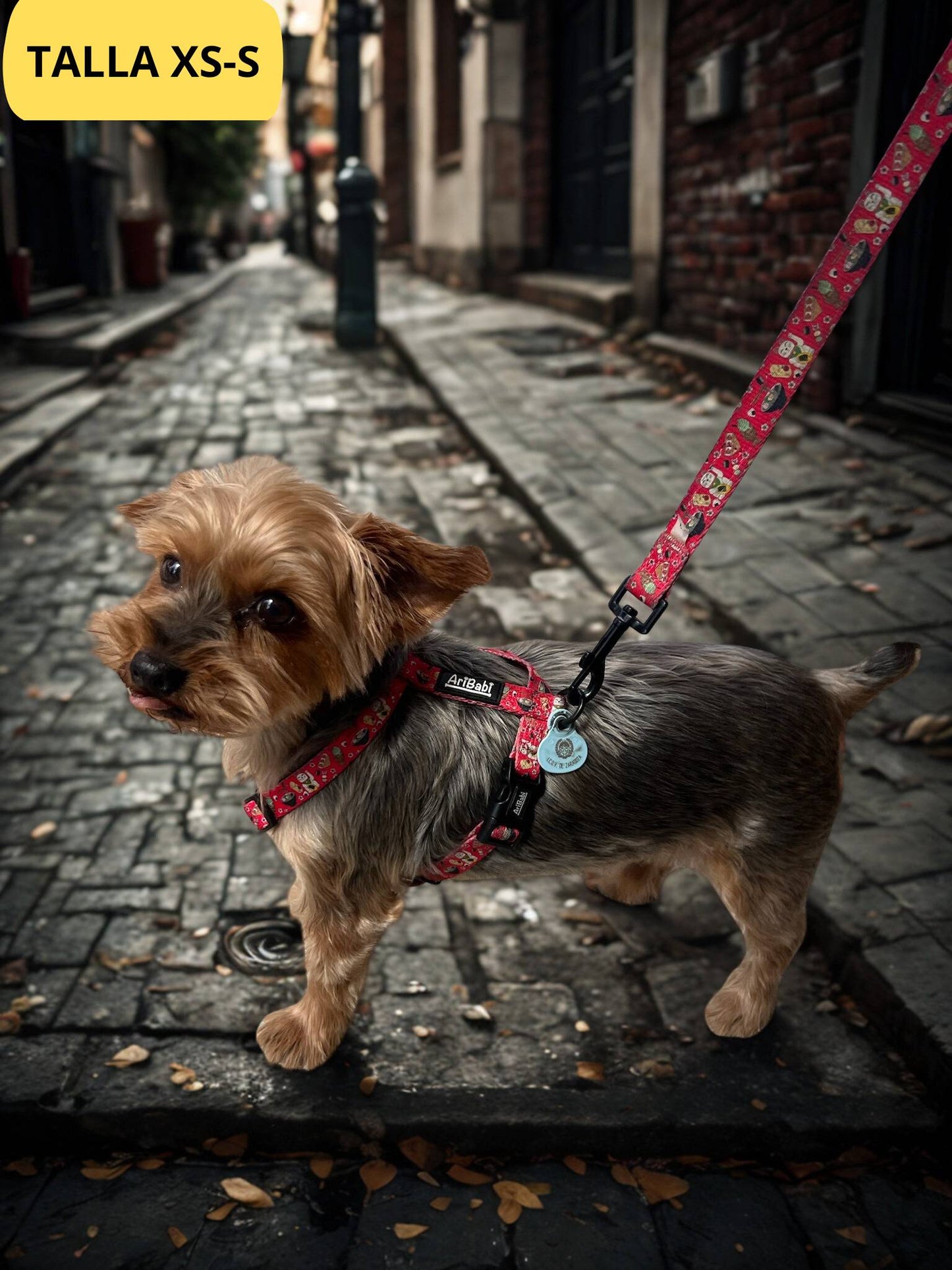 Conjunto de arnés clásico ajustable rojo y correa a juego con dibujos de sushi de la colección Tokio colocado en perro pequeño yorkshire.