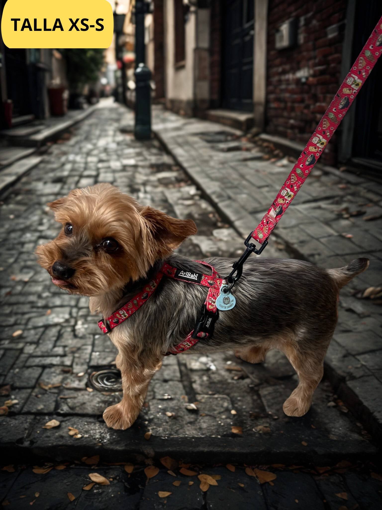 Conjunto de arnés clásico ajustable rojo y correa a juego con dibujos de sushi de la colección Tokio colocado en perro pequeño yorkshire.