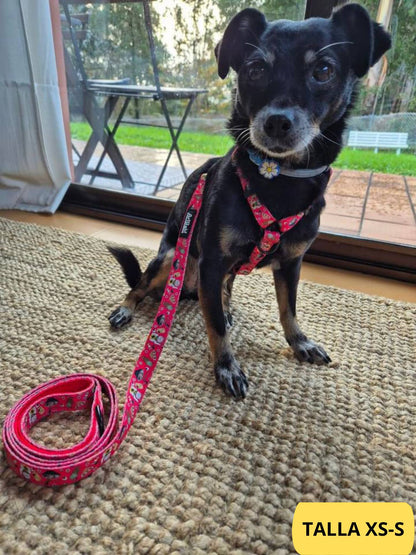 Conjunto de arnés clásico ajustable rojo y correa a juego con dibujos de sushi de la colección Tokio colocado en perro pequeño.