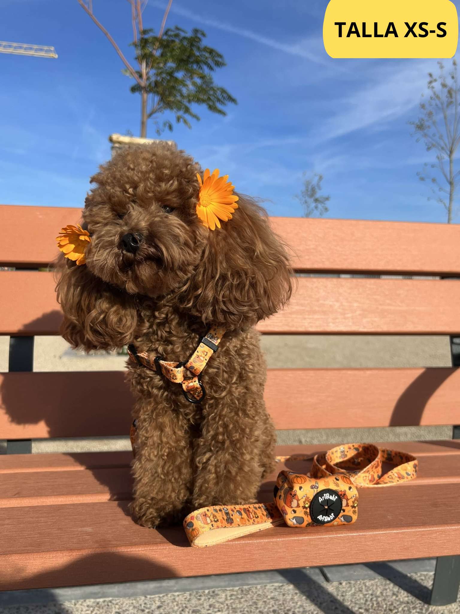 Conjunto de arnés ajustable naranja con correa y portabolsas a juego con dibujos de animales de la colección Yosemite colocado en perro pequeño.
