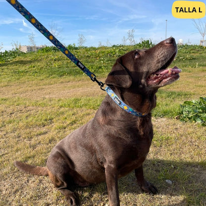 Conjunto de collar ajustable azul con correa a juego con dibujos de planetas de la colección Laika colocado en perro grande. 