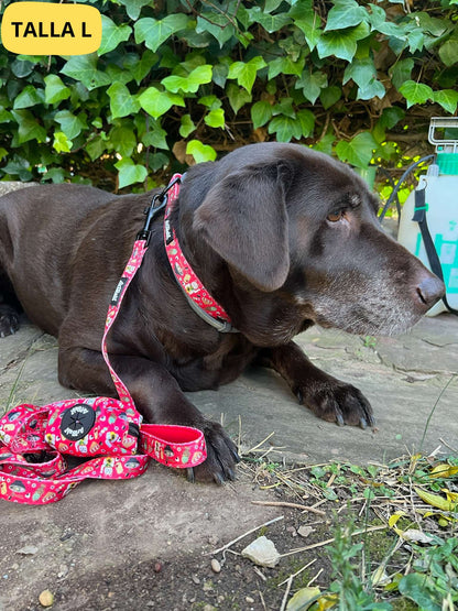 Conjunto de collar ajustable rojo con correa y portabolsas a juego con dibujos de sushi de la colección Tokio colocado en perro grande labrador.