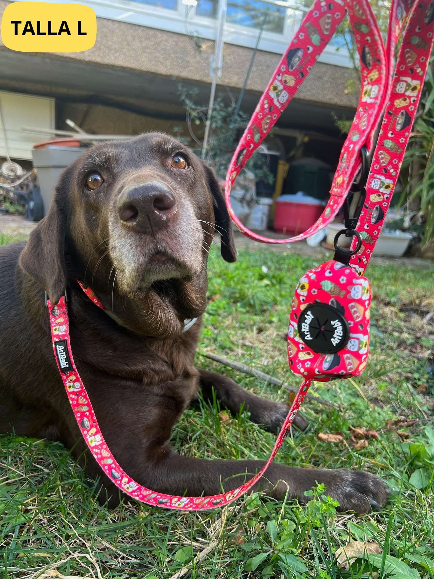 Conjunto de collar ajustable rojo con correa y portabolsas a juego con dibujos de sushi de la colección Tokio colocado en perro grande.